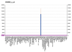 PBB GE KLK3 204582 s at fs.png