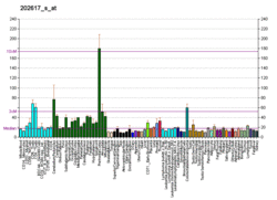 PBB GE MECP2 202617 s at fs.png