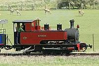 Steam engine at Whipsnade Zoo, Bedfordshire, England-12April2012.jpg