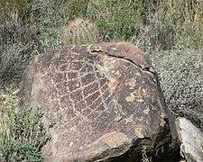 Spiderweb petroglyph on the Waterfall Trail in the White Tank Mountains, Arizonia.jpg