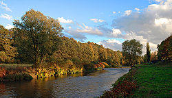 Mulde in Zwickau - big.jpg