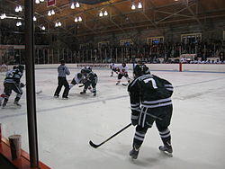 PrincetonDartmouth2013.JPG
