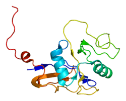 Protein CD44 PDB 1poz.png