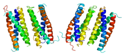 Protein CNTF PDB 1cnt.png