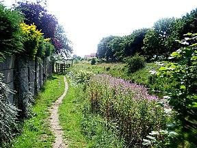Horncastle-Canal-Lincolnshire.jpg