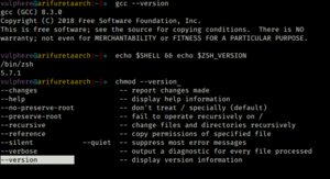 Screenshot of a Zsh session