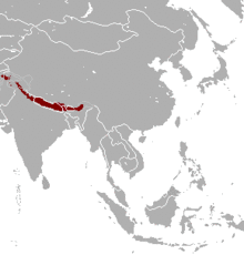 Naemorhedus goral range map.png