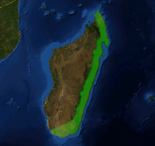 Nepenthes madagascariensis distribution on satelite.png