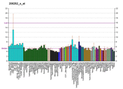 PBB GE AVPR1A 206252 s at fs.png