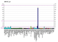 PBB GE PTGS1 205127 at fs.png