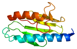 Protein FXN PDB 1ekg.png