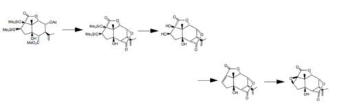 The synthesis of picrotoxinin from carvone