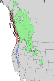 Pinus contorta subspecies range map 2.png
