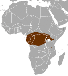 Servaline Genet area.png