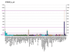 PBB GE IL1RN 216243 s at fs.png