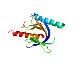Protein ITGB1 PDB 1K11.png
