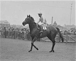 Jockey riding race horse Chatham at the races with the crowd in background, New South Wales, 18 September 1933..jpg