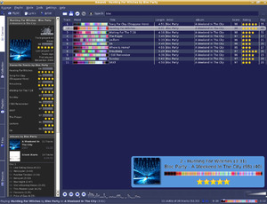Amarok 1.4.5 with Moodbar functionality