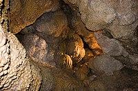 Jewel Cave (269779943).jpg
