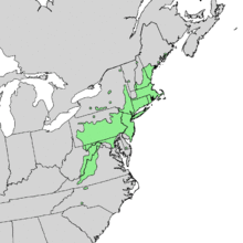 Quercus ilicifolia range map 1.png