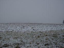 Snow-covered corn fields in Forest Township