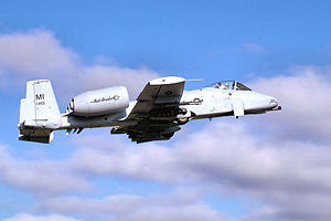 107th Fighter Squadron - A-10 80-255 Selfridge ANGB.jpg