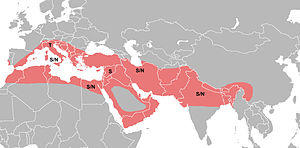SandFlyFeverMap.jpg