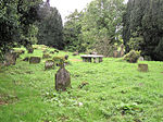 Drumragh Graveyard - geograph.org.uk - 95904