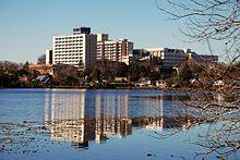 WaikatoHospital.jpg