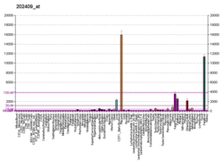 PBB GE IGF2 202409 at fs.png