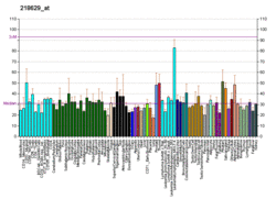 PBB GE SMO 218629 at fs.png