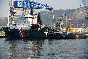 Abeille Flandre mg 5671.jpg