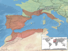 Coronella girondica distribution.png