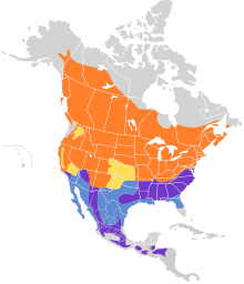 Spizella passerina map.svg