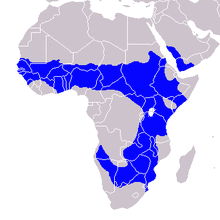Tockus nasutus - Distribution.png