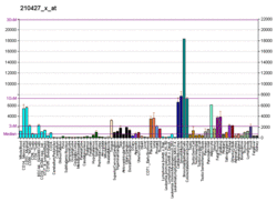 PBB GE ANXA2 210427 x at fs.png