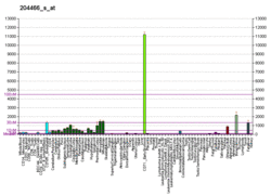 PBB GE SNCA 204466 s at fs.png