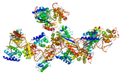 Protein GTF2B PDB 1c9b.png