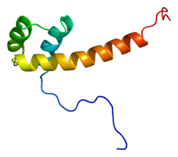Protein PAX6 PDB 2cue.png