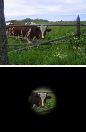 Tunnel vision sc.png