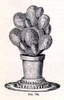 Cactus piece.jpg