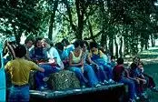 Hayride.jpg