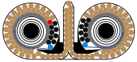 Double drum magazine filled with 100 rounds