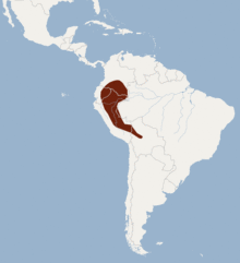 Distribution of Sturnira magna.png