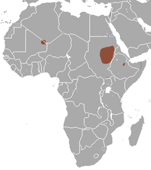 Sahelian Tiny Shrew area.png