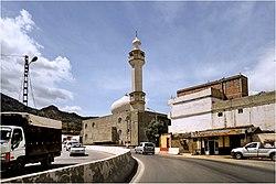 Ain Defla عين الدفلة - panoramio (6).jpg