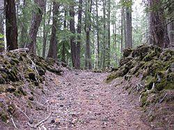 Santiam Wagon Road - Lava Field Management Segment.jpg