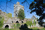 Clonmines Friary South Range 2010 09 27.jpg