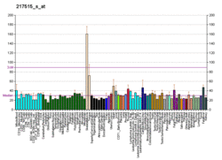 PBB GE CACNA1S 217515 s at fs.png