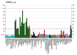 PBB GE FGFR2 203639 s at fs.png